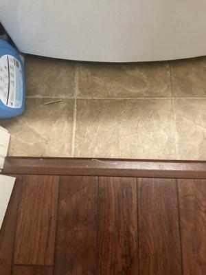 Transition flooring into laundry closet. Badly damaged!