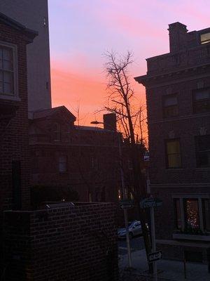 View from my apt window ( lots of natural light, and nice sunsets).