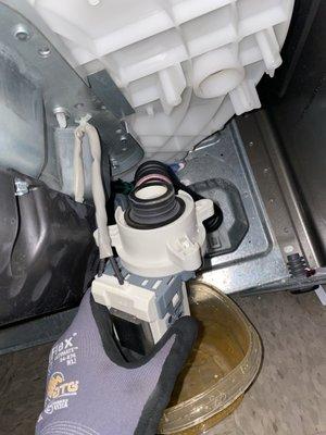 Washing Machine Repair Service - Drain Pump