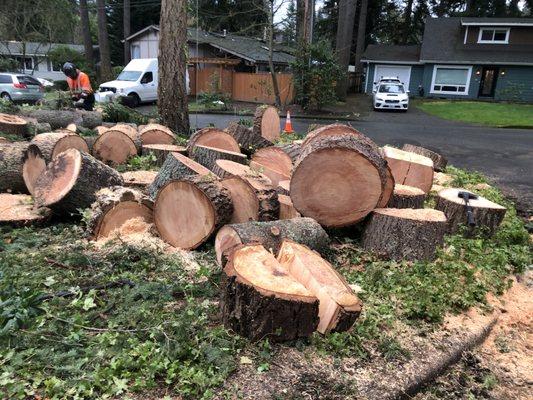 They cut the wood in the right size which is easier for the people who pick up the wood.