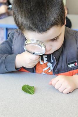 Preschool Science Program