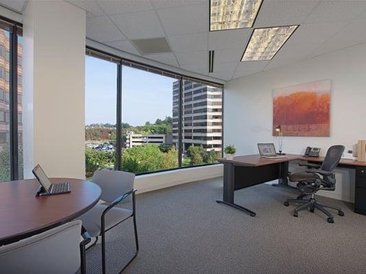 Large Exterior Office Space