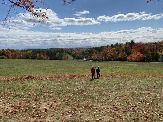 Scenic view over the fields