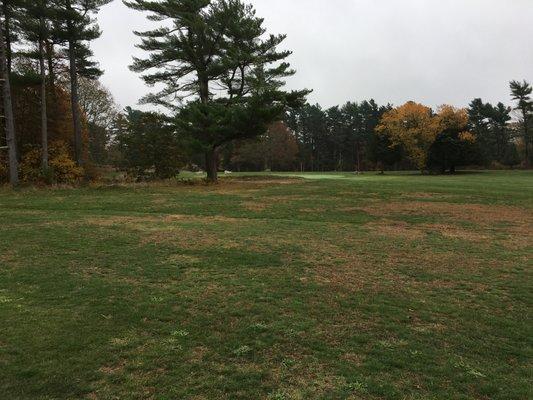 Looking at the green for the 5th hole.