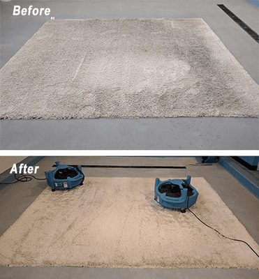 Here is a carpet cleaning we are pretty proud of. I took this picture during the drying process.