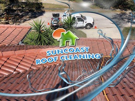 Professional Roof Cleaning services in Sarasota County by Suncoast Roof Cleaning a tile roof.