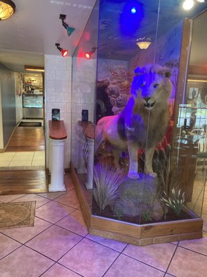 Lion statue at entrance