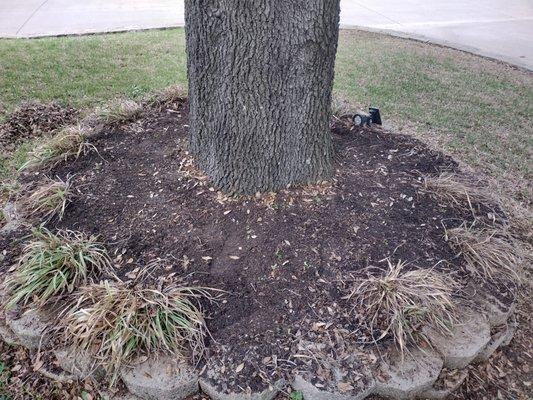 Bed Clean after - remove debris, weeds, cut back overgrowth