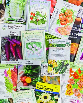 Wide variety of garden seeds