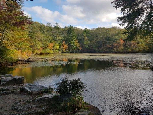 Beautiful pond view