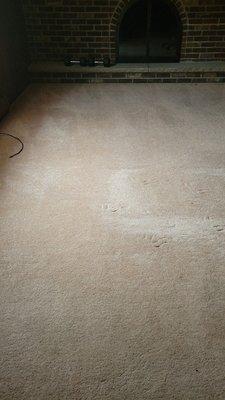 Executive Carpet Cleaning