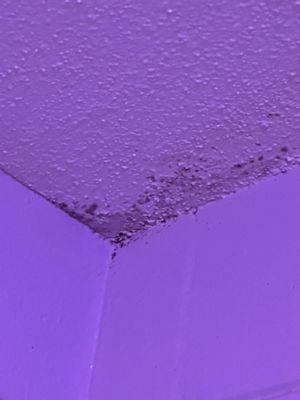 More black mold growing