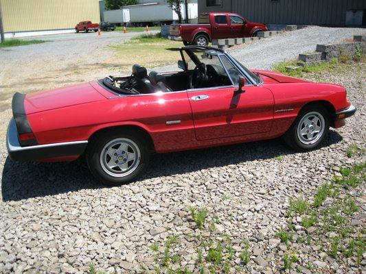 1986 Alfa Spider