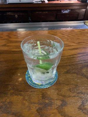 Gin & Tonic