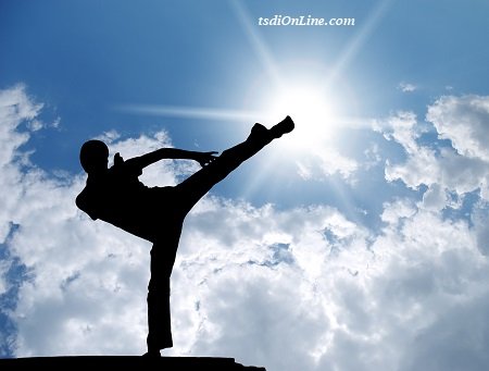 The Self-Defense Institute, www.tsdiOnLine.com