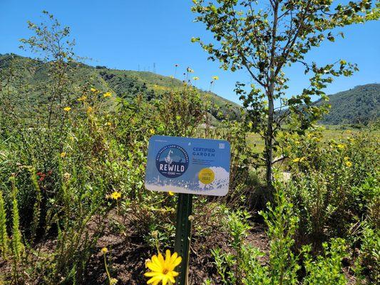 Designation of Rewild habitat status on the garden tour.