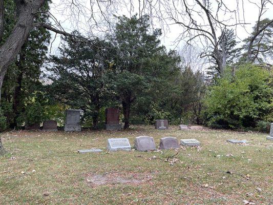 One of the spooky groves in the cemetery.