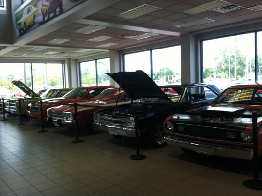 classic cars on display in showroom