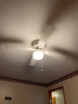 Ceiling fan with light