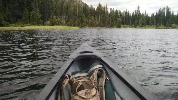 A view from the tandem canoe we rented for half the day at $45 and only $5 to park! Great place!!!