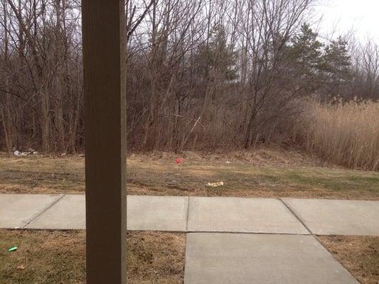 Trash that wasn't picked up has blown into the wood line bc the bags ripped from wind.