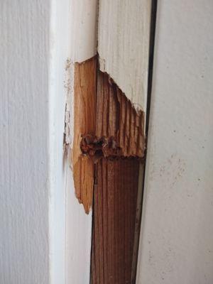 Cracked Door casing and gamaged door jamb