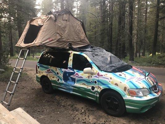 "Harry" looking good at Yosemite National Park