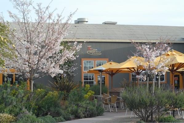 Swift Street Courtyard design