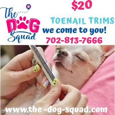 We come straight to your front door to trim your pets nails for ONLY $20 per pet.