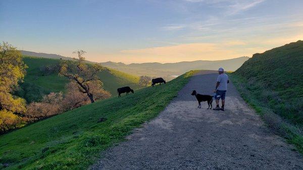 Lagoon Valley Park