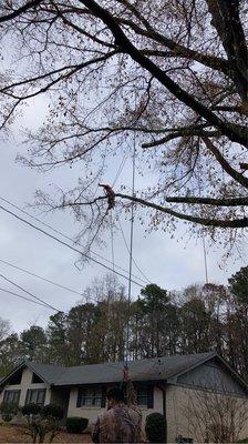 Power line trimming