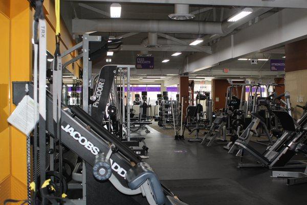 Great Precor equipment throughout the gym! Smith Machines. Power Cages, Half Rack and more!