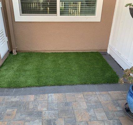 Synthetic grass with the nice border to transition to pavers