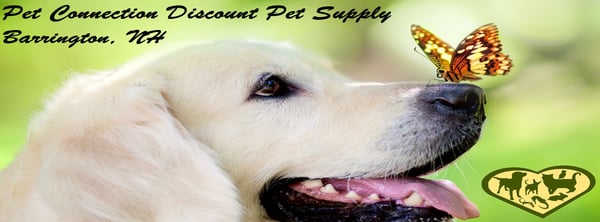 Pet Connection Discount Pet Supply