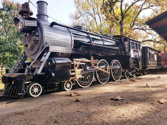 Northern Railroad 15" gauge Train Ride by Western Train Co.