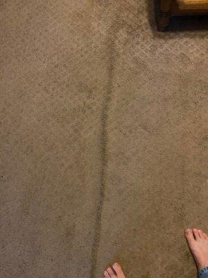 Carpet buckling in several places in living room