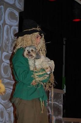 Wizard of Oz 2010