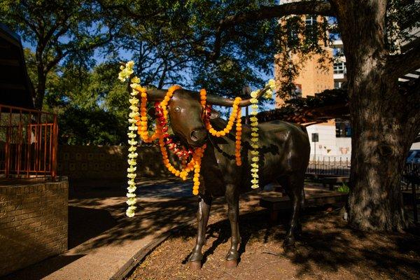 BEVO was ready to party!