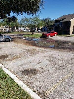 Several days after moderate rain