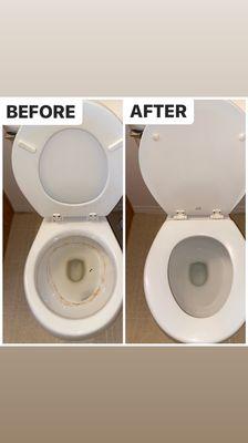 Toilet ring buildup that doesn't go away with a toilet bowl brush and product? We got that too!