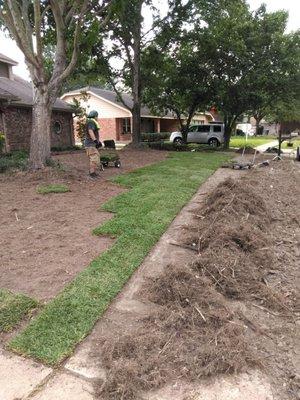 Installing sod to perfection !