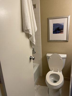 Someone of larger size would not be able to get in the bathroom and shut door. Look closely at how close door and toliet are.