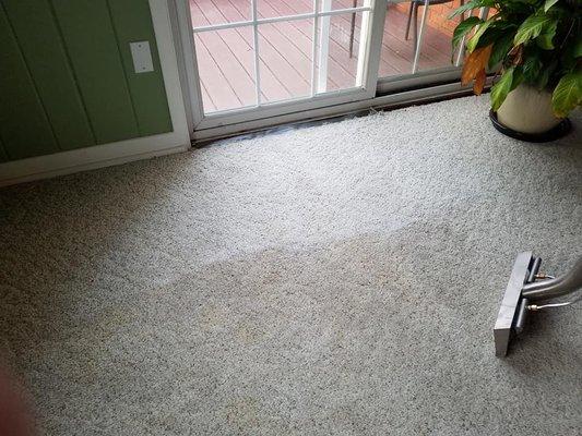 Residential carpet cleaning