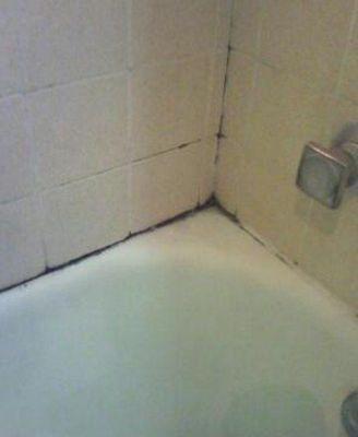 Mold in the shower as soon as the paint washes off after couple showers !  This used to be white!