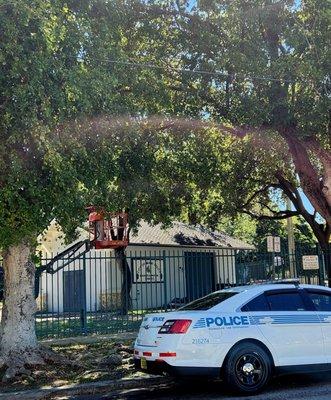 The City of Miami Mounted Police Stables