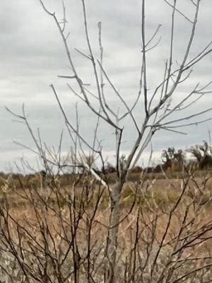 Sherburne National Wildlife Refuge