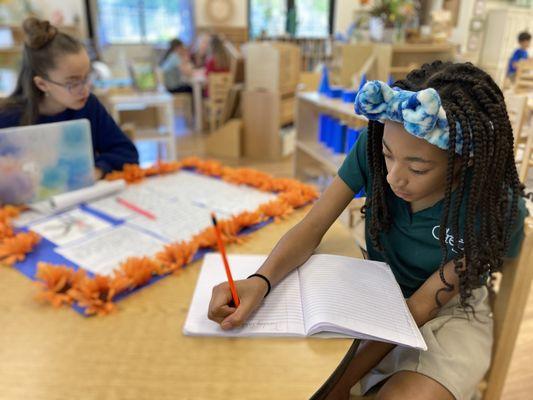 Upper Elementary children working on a research project.