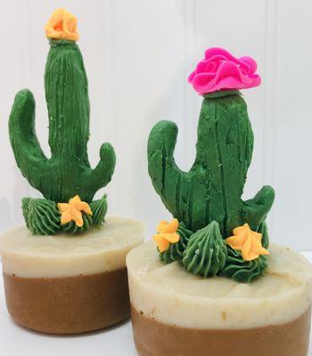 Cacti Cuties!