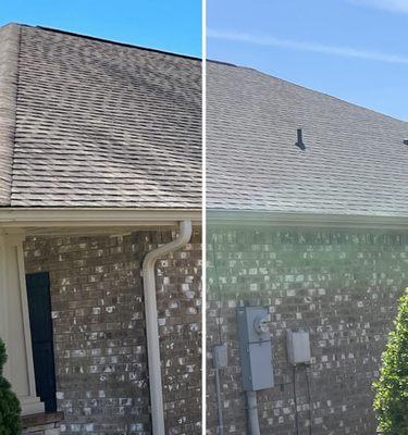 Roof Washing Before and After