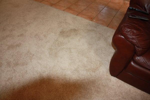 BEFORE: Stain of organic substance.